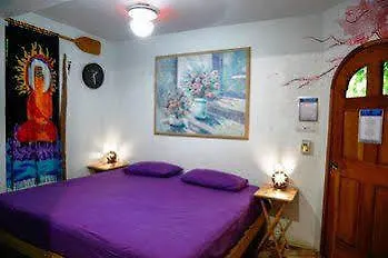 ** Отель Hostel Natura Канкун Мексика