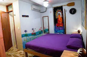 Отель Hostel Natura Канкун